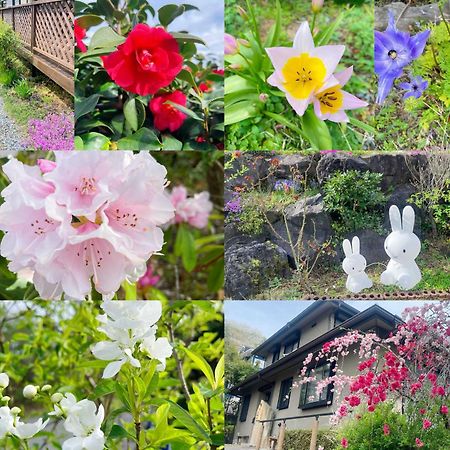 貸別荘花摘里　伊豆高原 Futo Bagian luar foto