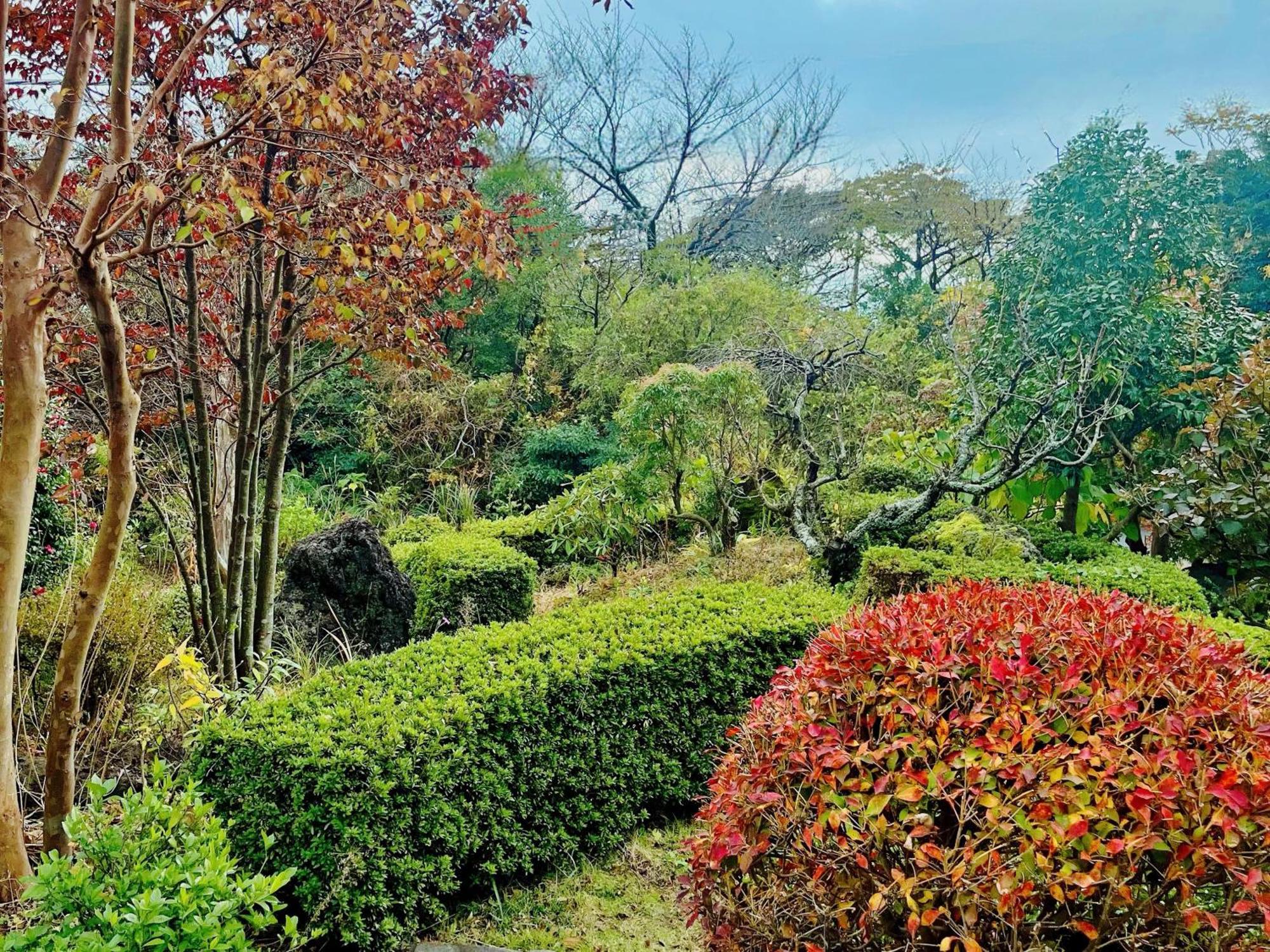 貸別荘花摘里　伊豆高原 Futo Bagian luar foto